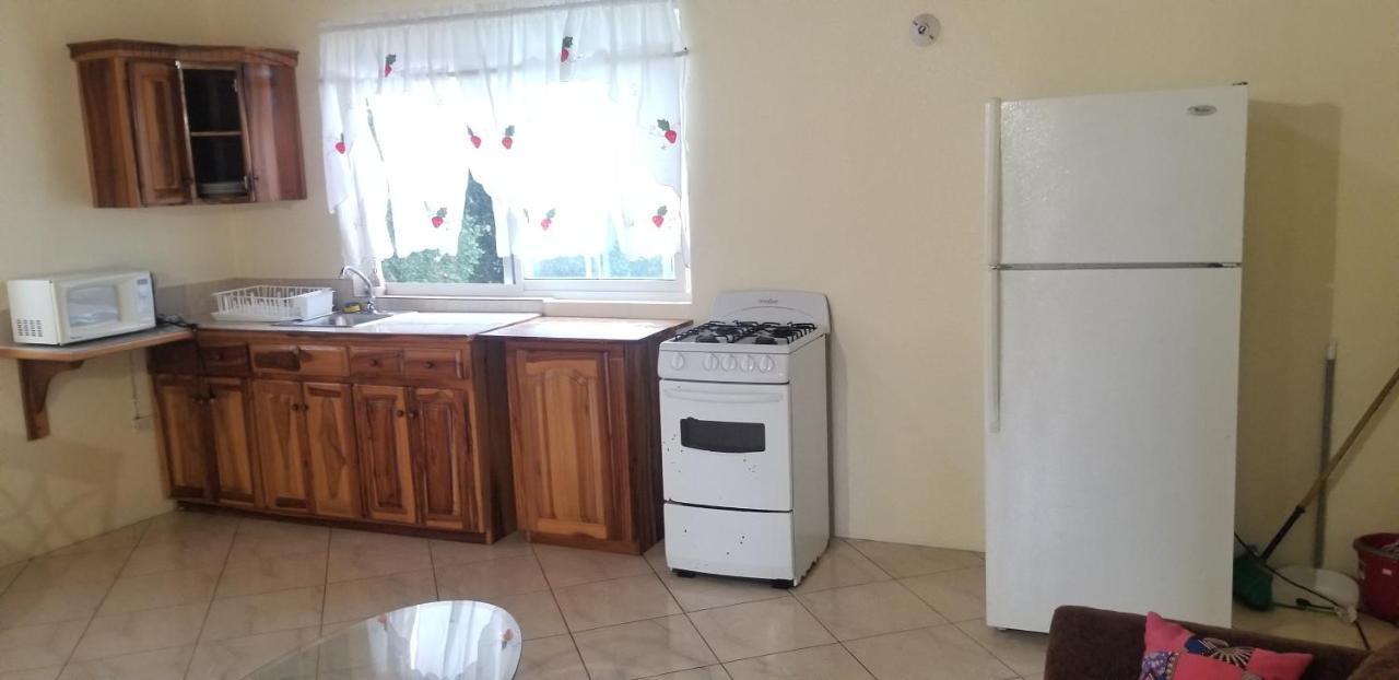 Wizzy Apartment Ocho Rios Ngoại thất bức ảnh