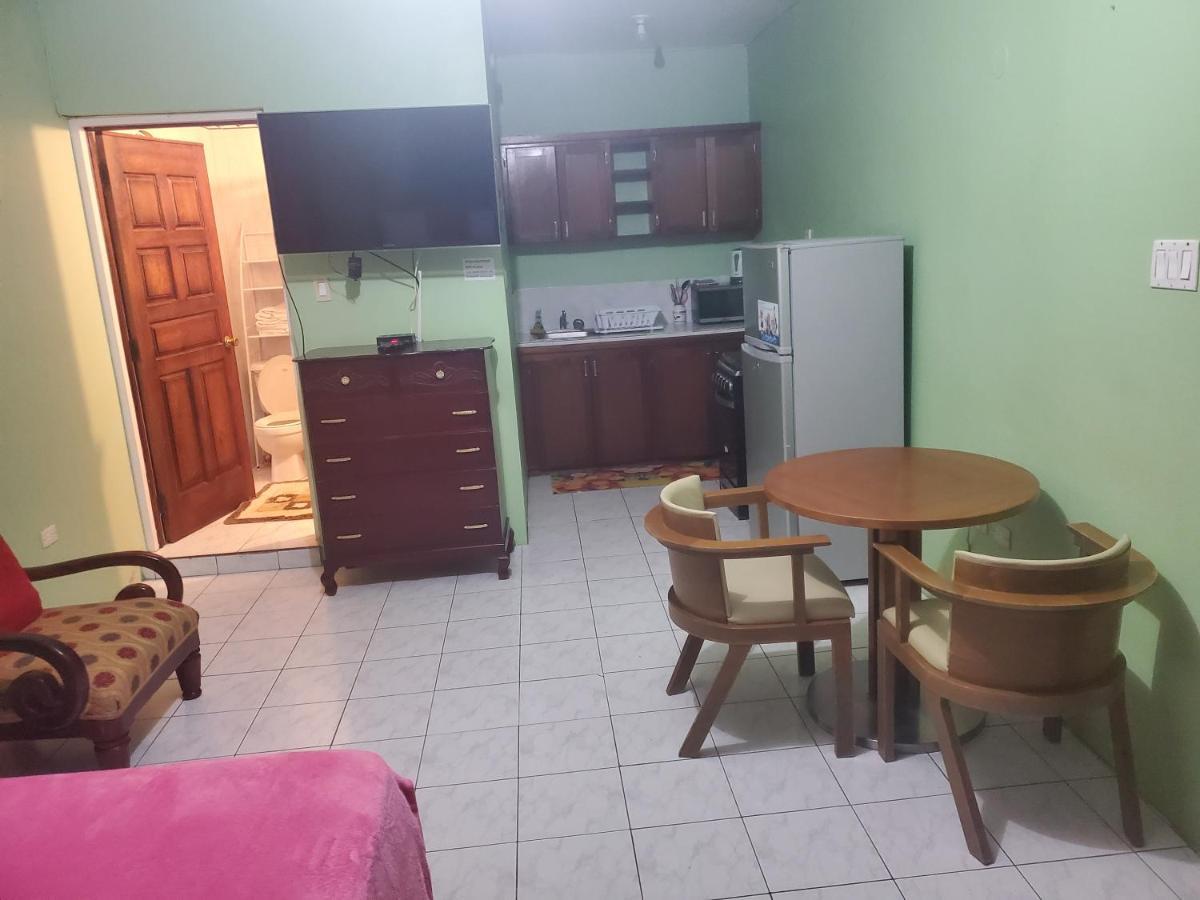 Wizzy Apartment Ocho Rios Ngoại thất bức ảnh