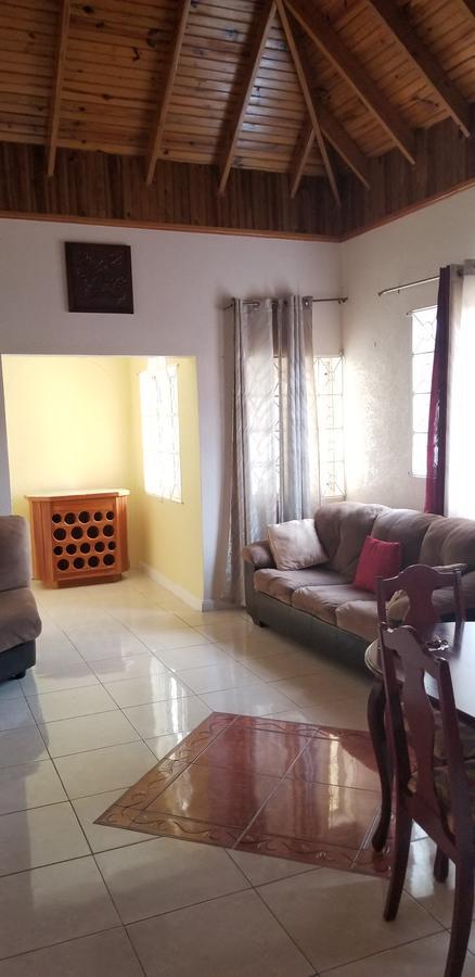 Wizzy Apartment Ocho Rios Ngoại thất bức ảnh