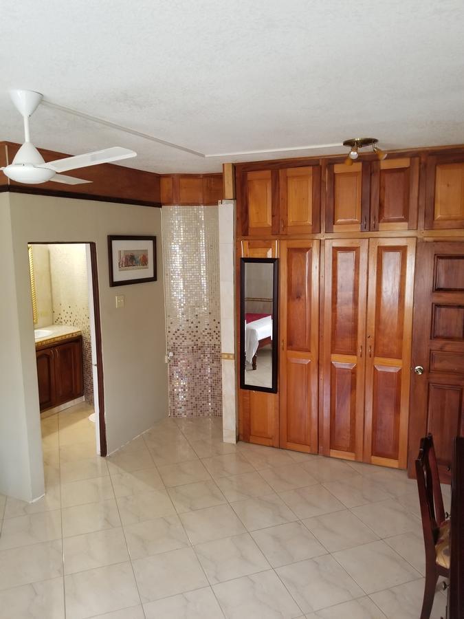 Wizzy Apartment Ocho Rios Ngoại thất bức ảnh