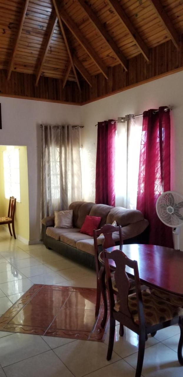 Wizzy Apartment Ocho Rios Ngoại thất bức ảnh